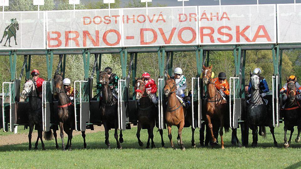 Týden před Velkou: Podzimní program v Brně a čeští koně v Longchamp