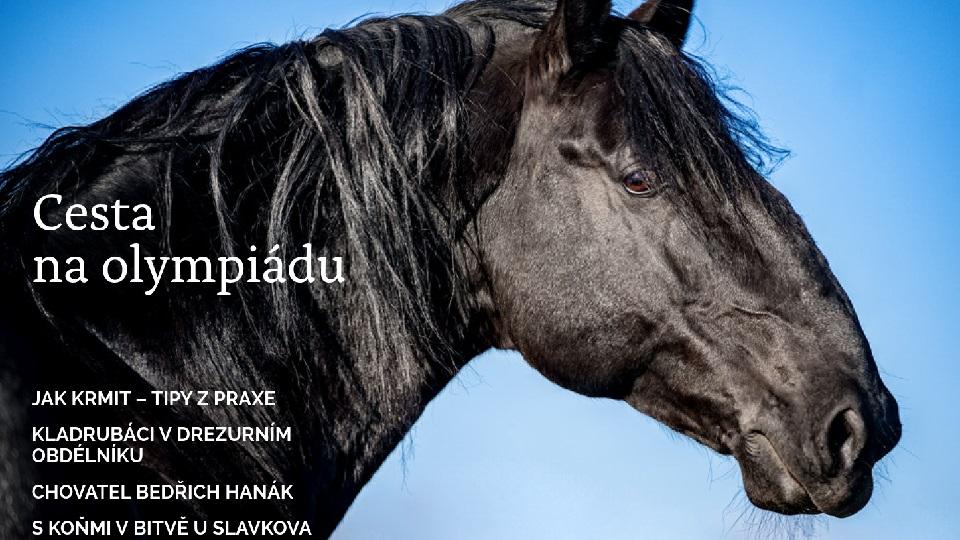 První letošní číslo časopisu Svět koní představí Hanáka i Sigismondiho