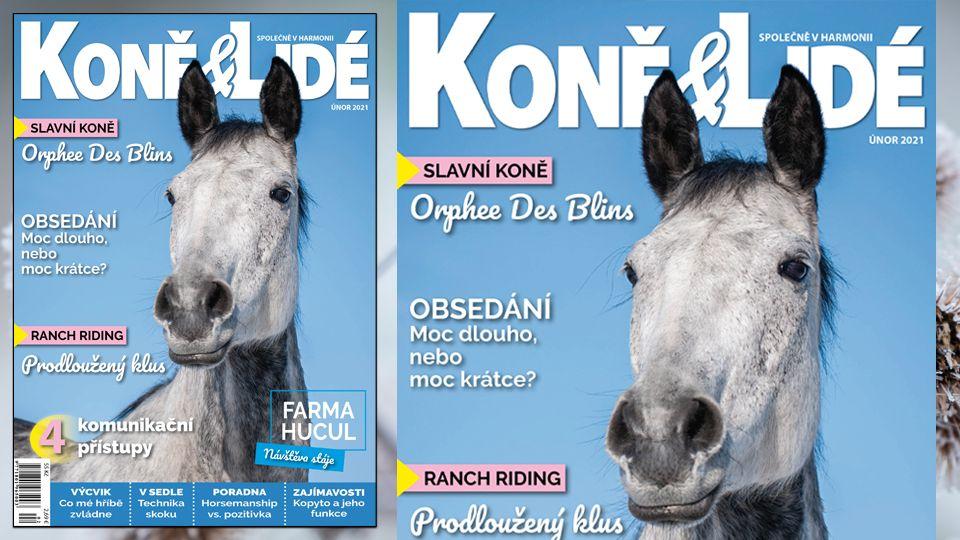 Nejen bezpečné komunikaci se věnuje nové číslo časopisu Koně a lidé