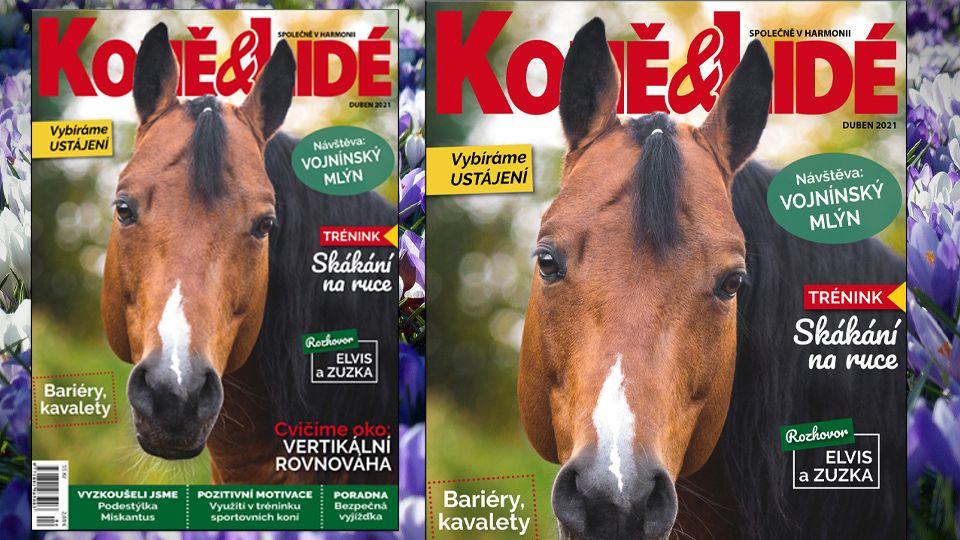 Jak správně ustájit koně vám poradí dubnové číslo časopisu Koně a lidé