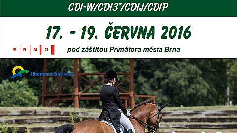 O přípravách CDI-W Brno 2016 s Lenkou Sekaninovou