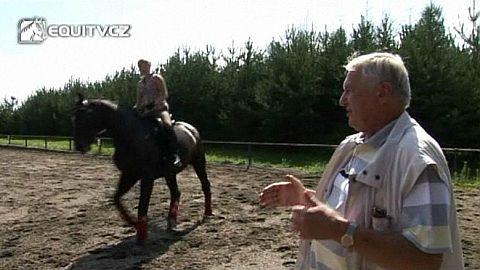 Školní výcvik koně Nácvik na cvalovou piruetu