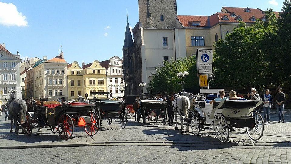 Kočovský: Fiakry v Praze patří k nejlepším v Evropě. Koně u nás netrpí
