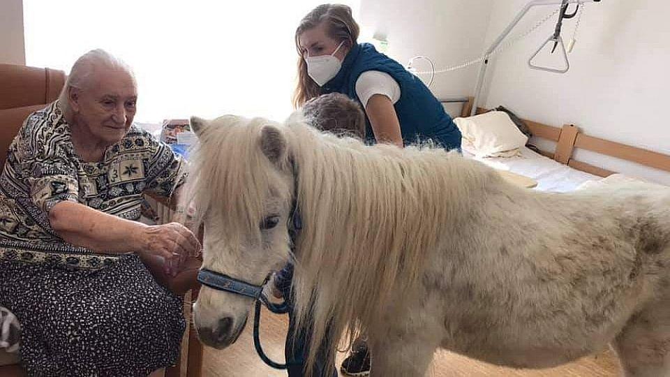 Adéla Hendrichová: S vycvičeným poníkem navštěvuji imobilní pacienty