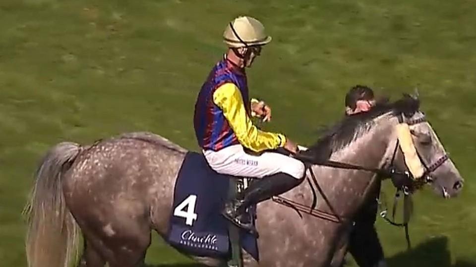 73. Velká květnová cena má svého vítěze. V tuhém boji vyhrál Pace Man