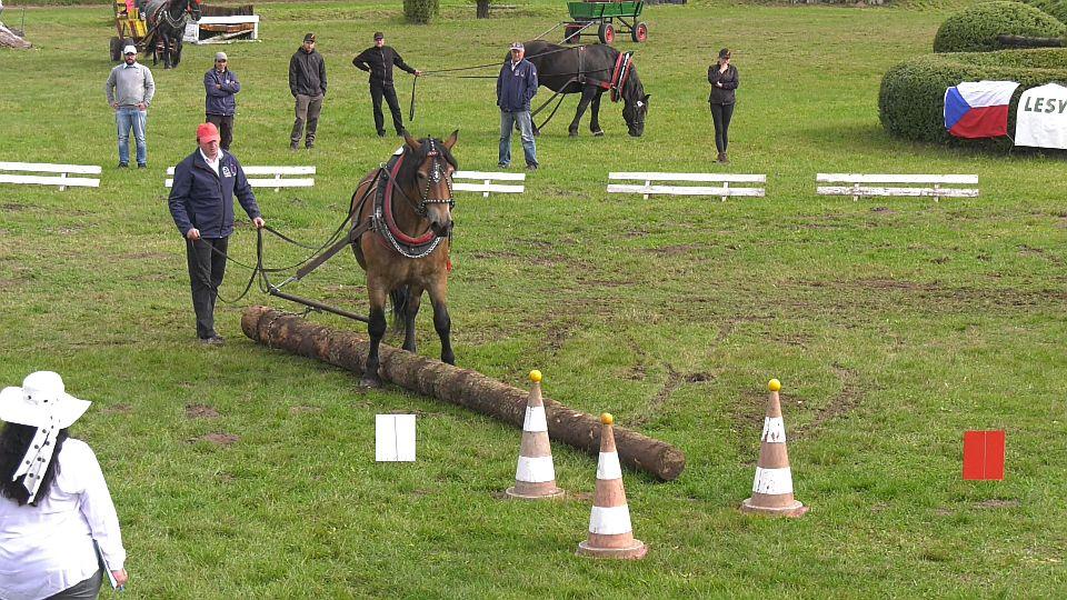 Chladnokrevný boj o mistrovské tituly zvládli vítězně Janoš s Bančíkem
