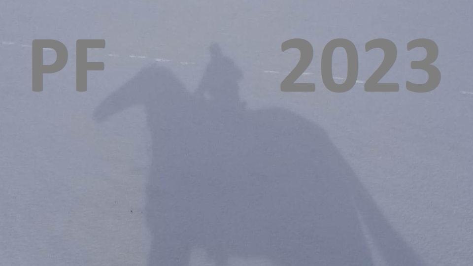 Pour féliciter 2023: Jezdci a žokejové přejí vše NEJ do nového roku