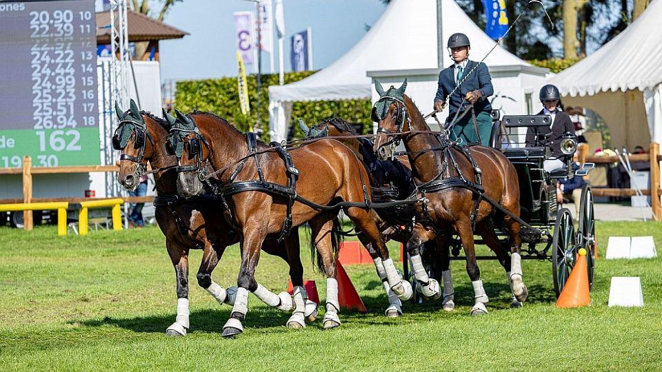 Relativní i abnormální spokojenost. Čeští vozatajové hodnotí ME čtyřspřeží