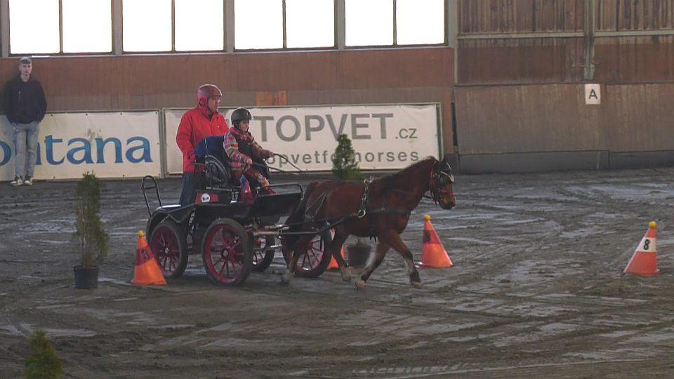 Jaroslav Jandl o ZJP v Hradištku: Jsem nadšený, když vidím děcka v zápřeži