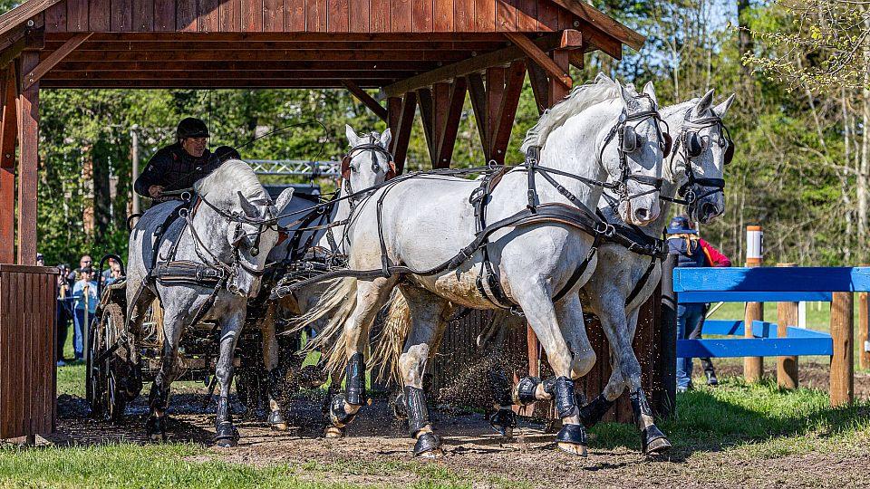 Jiří Machek: Při Rudolfově poháru letos uvidíme osm družstev čtyřspřeží