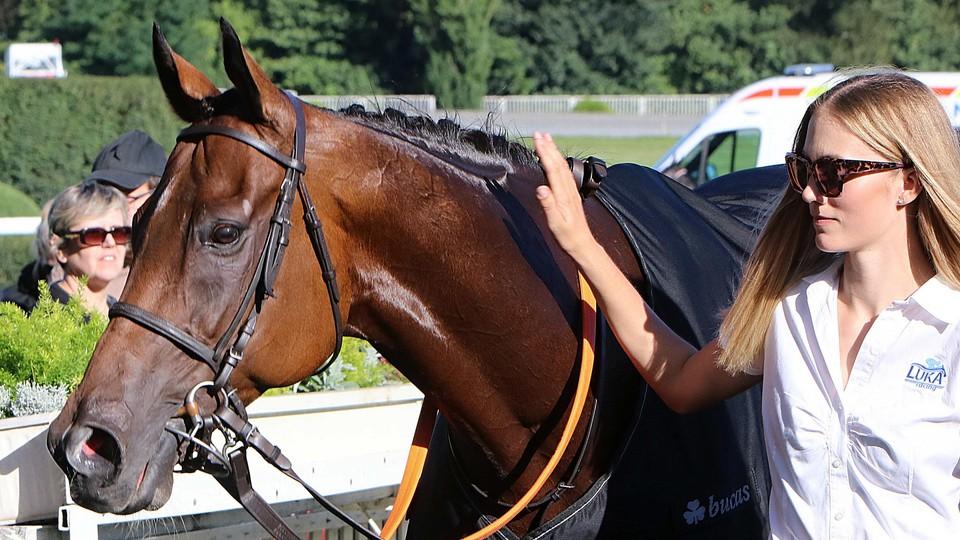 Dostihové dění: Návrat k Prague Champions Day a pozvánka na víkend