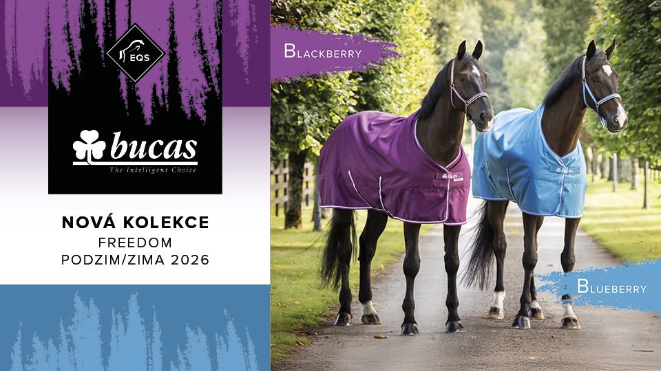 Here we are