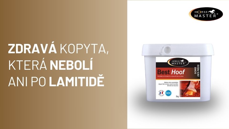 Here we are