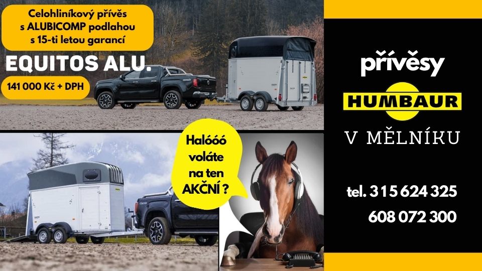 Here we are