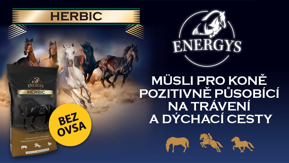 Here we are