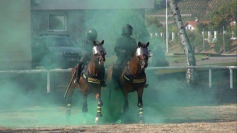Jízdní policie podpořila Handicap centrum Srdce