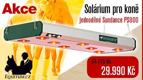 Proč je dobré používat solárium pro koně?