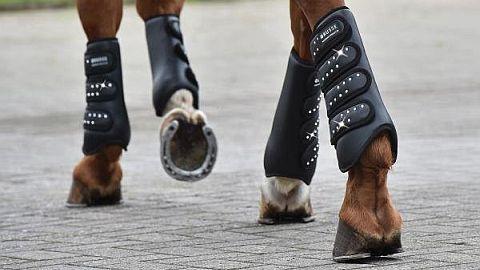 Tři vánoční tipy pro koně od MujKun.cz