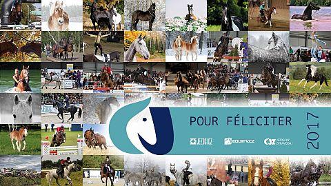 Mějte krásný rok 2017 nejen ve společnosti koní!