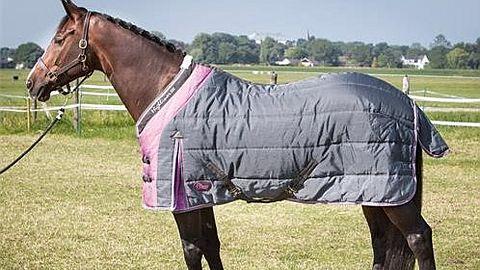 Kamírův nákupní průvodce: Stájové deky pro koně