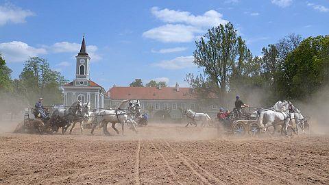 Přípravy na květnový Den starokladrubského koně