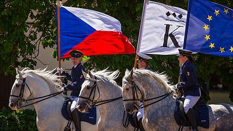 Den starokladrubského koně 2017 v sérii videí