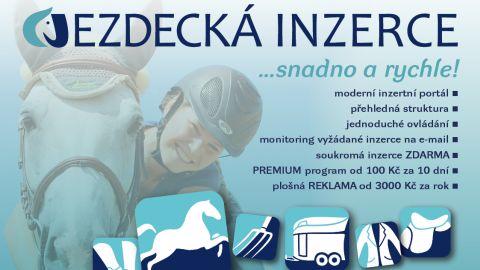 Získejte ZDARMA k PREMIUM inzerci Geloren Horse