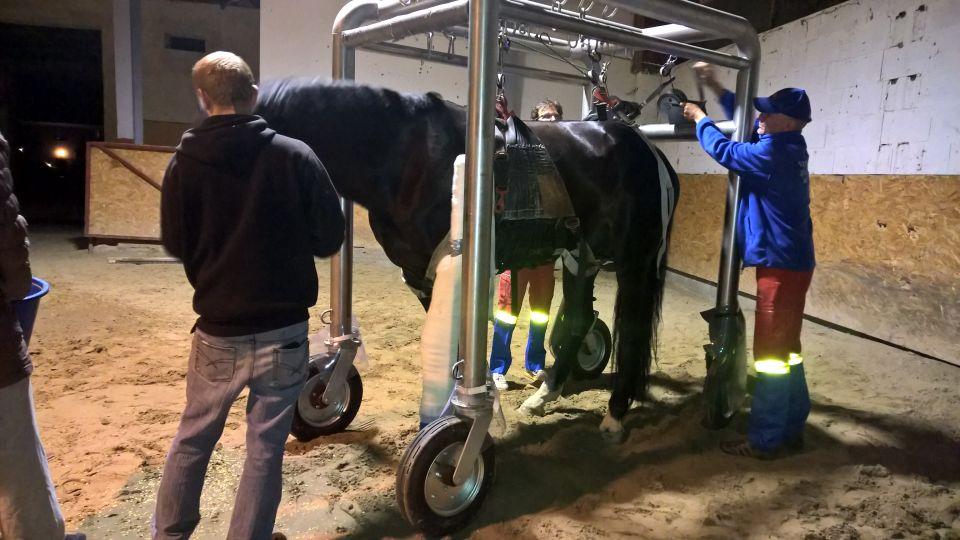 Koňská záchranka pomáhá k využití záchranných sítí