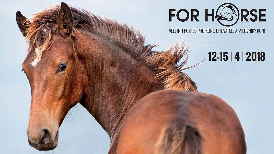 Praha zažije premiéru koňského veletrhu For Horse
