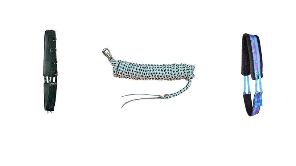 Kamírův nákupní průvodce: Lonžovací pomůcky