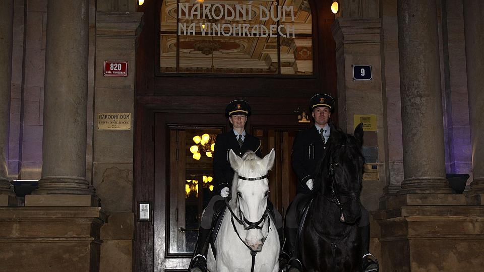 Na galavečer České jezdecké federace dorazí i koně