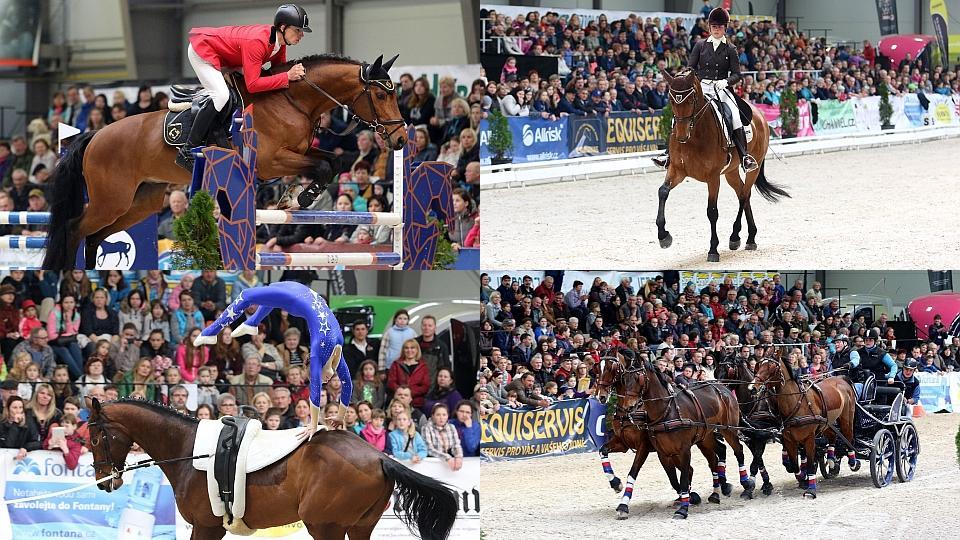 Přihlášky na Jezdecký festival 2018 jen do pondělí