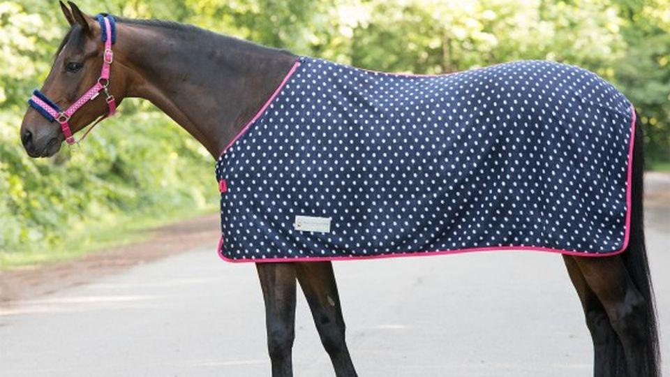 Soutěž s Equivet.cz o odpocovací deku Unicorn