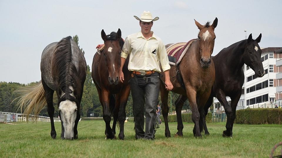 Jubilejní výstava Koně v akci 2018 klepe na dveře