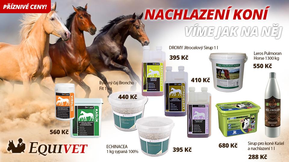 Vyhněte se nachlazení vašich čtyřnohých miláčků