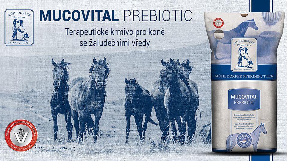 Snižte riziko žaludečních vředů u vašeho koně
