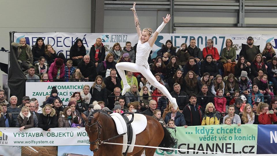 Nominace jezdců a koní roku 2018 ve voltiži