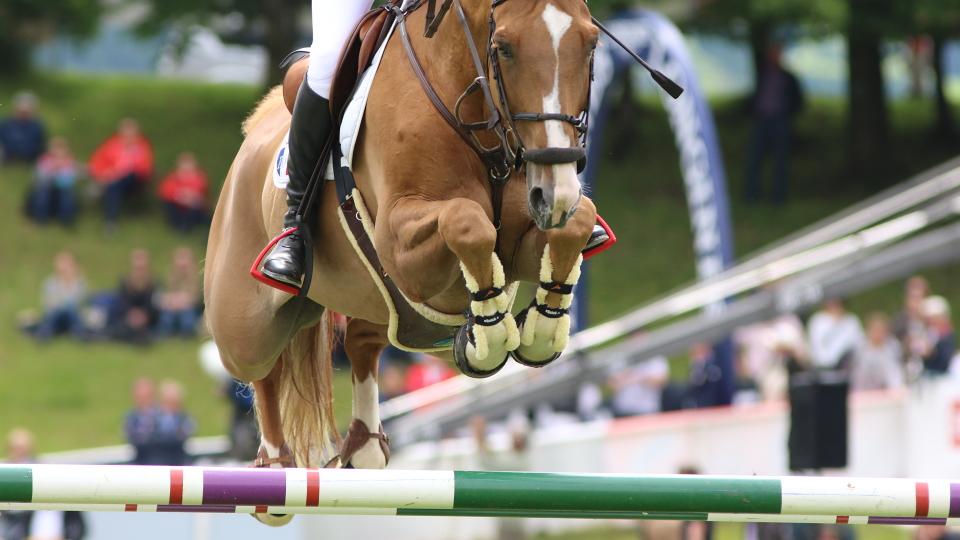 Nominace jezdců a koní roku 2018 ve skákání