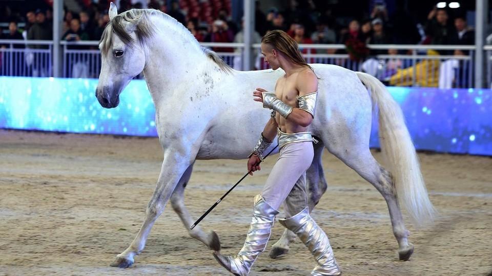 Španělští koně v akci. Prahu čeká velká show Haraldos Stunt Brother