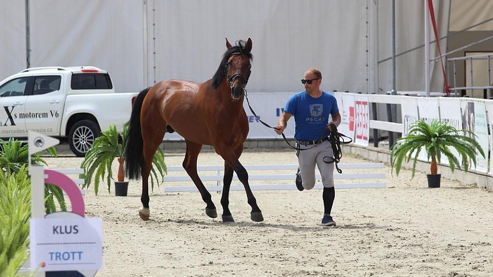 V Olomouci začíná Světový pohár v parkurech. Skákat se bude pět dní