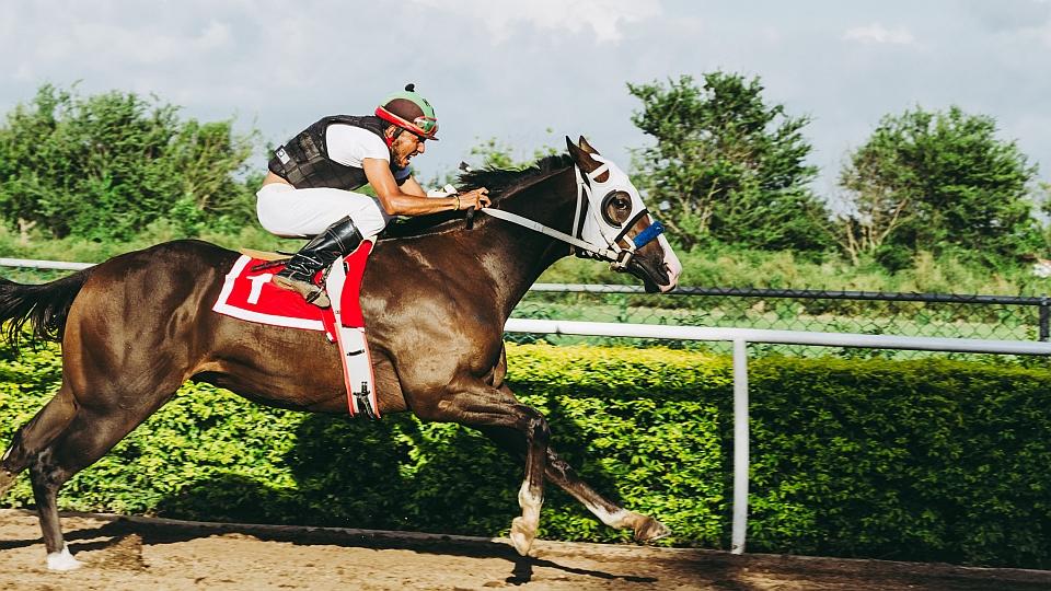 Rychlá letní soutěž se společností Contipro o kloubní výživu Geloren