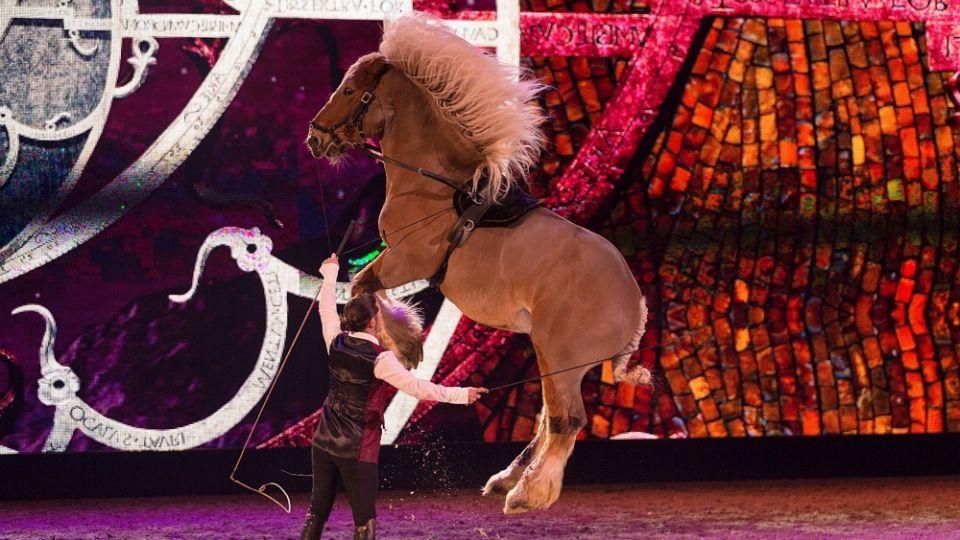 Guillaume Mauvais a jeho show s jedinečnými koňmi Comtois potěší Prahu