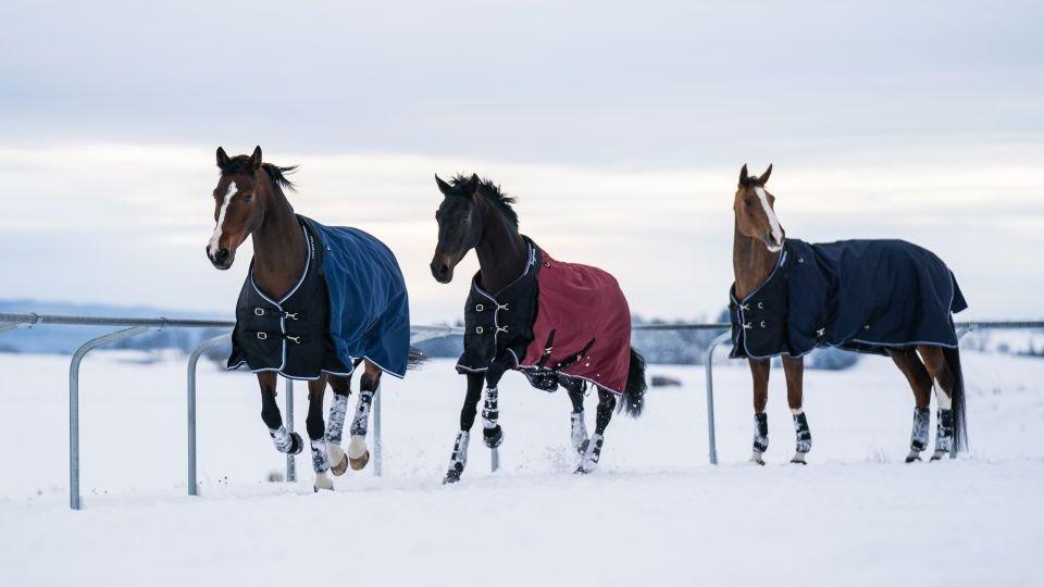 Decathlon nabízí: Nepromokavá koňská deka Allweather 300 Fouganza