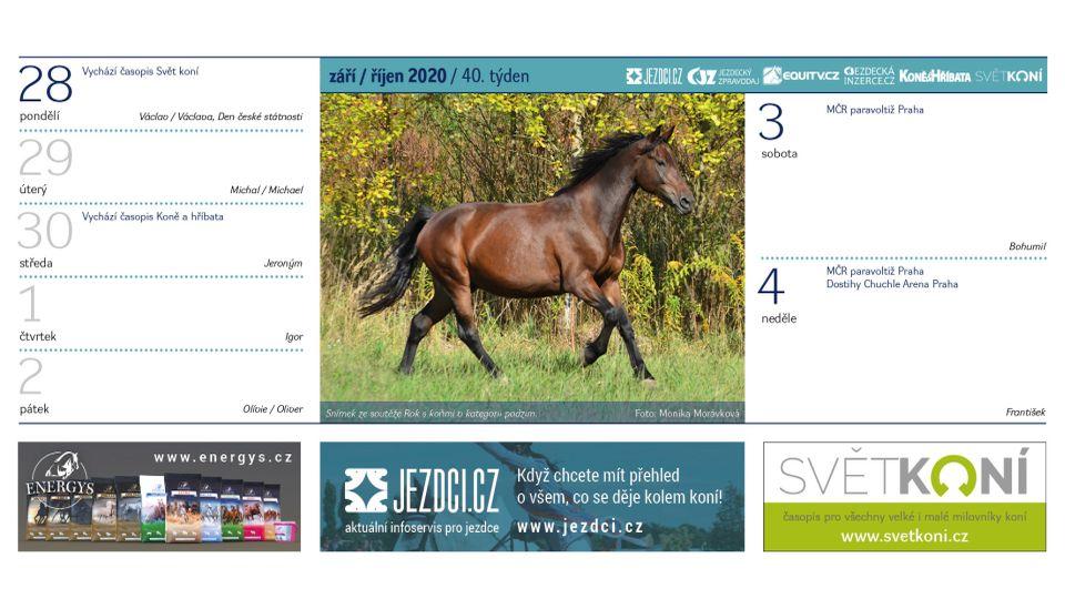 Říjen ve stolním Jezdeckém kalendáři 2020. Objednejte si ho domů