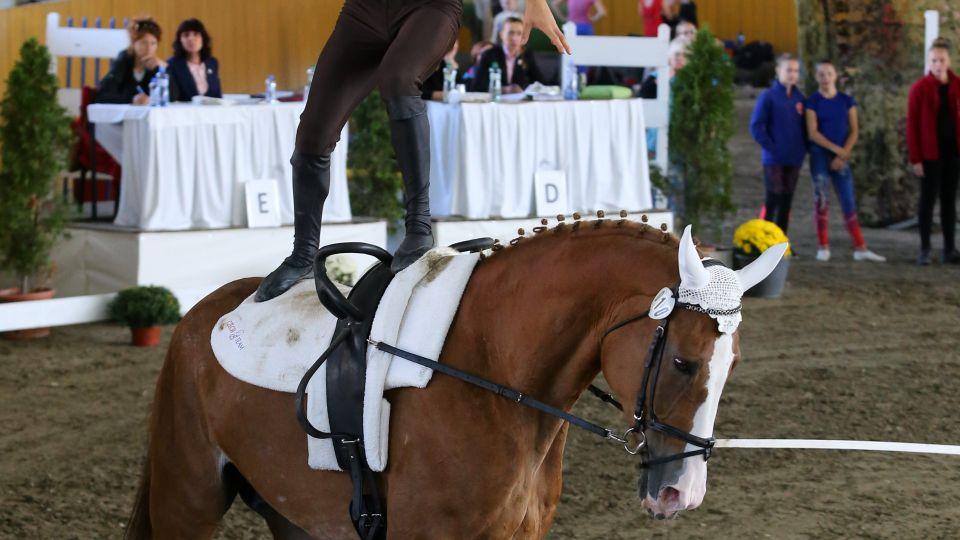 Galavečer ČJF: Nominace jezdců a koní roku 2019 v disciplíně voltiž