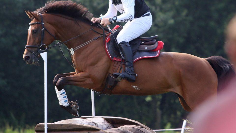 Galavečer ČJF: Nominace jezdců a koní roku 2019 ve všestrannosti