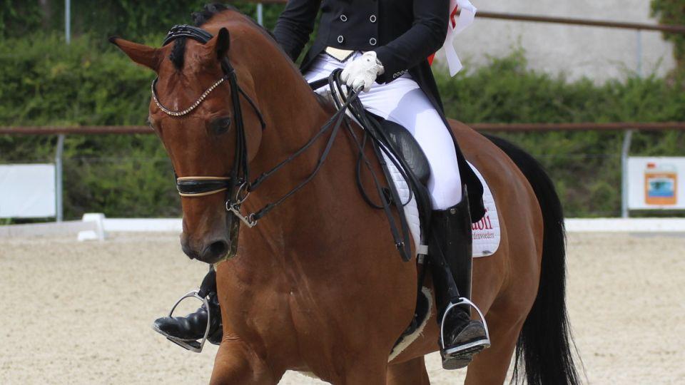 Galavečer ČJF: Nominace jezdců a koní roku 2019 v disciplíně drezura