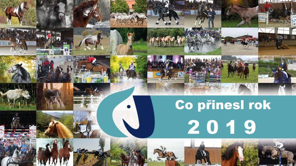 Rok 2019 v redakci EQUINET. Víc změn, než je na první pohled vidět