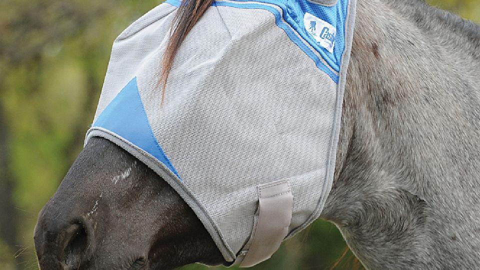 Vyměňte plácačku za kvalitní ochranu vašich koní před obtížným hmyzem