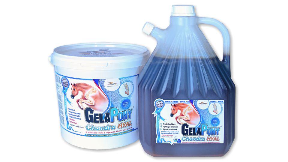 Gelapony Chondro Hyal: Kyselina hyaluronová pomáhá při nemocech kloubů